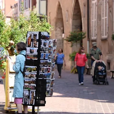 度假居 Maison Spacieuse A Colmar, 5 Chambres, Terrasse, Wifi, Parking Gratuit - Fr-1-722-12 *