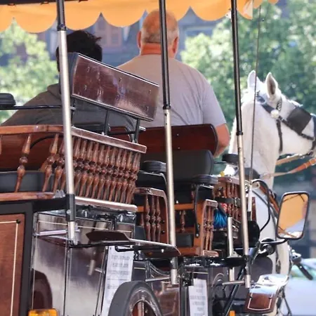 Maison Spacieuse à Colmar, 5 Chambres, Terrasse, Wifi, Parking Gratuit - Fr-1-722-12 Colmar