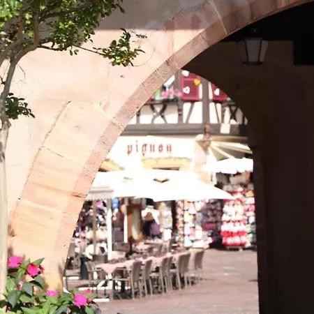 Maison Spacieuse A Colmar, 5 Chambres, Terrasse, Wifi, Parking Gratuit - Fr-1-722-12 度假居 *