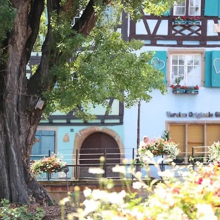 Maison Spacieuse A Colmar, 5 Chambres, Terrasse, Wifi, Parking Gratuit - Fr-1-722-12