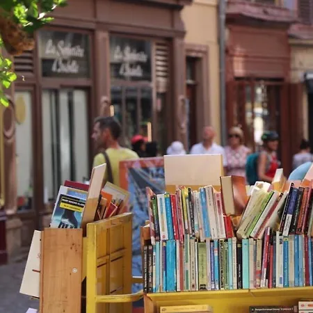 Maison Spacieuse A Colmar, 5 Chambres, Terrasse, Wifi, Parking Gratuit - Fr-1-722-12 *