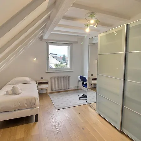 펜션 Maison Spacieuse A Colmar, 5 Chambres, Terrasse, Wifi, Parking Gratuit - Fr-1-722-12