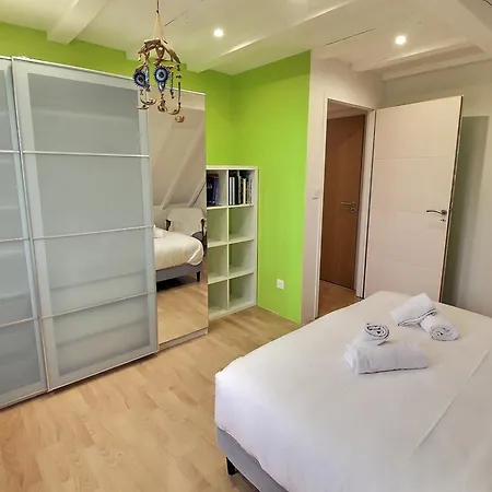 Maison Spacieuse A Colmar, 5 Chambres, Terrasse, Wifi, Parking Gratuit - Fr-1-722-12 Casa de Férias *