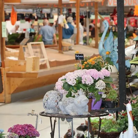 Maison Spacieuse à Colmar, 5 Chambres, Terrasse, Wifi, Parking Gratuit - Fr-1-722-12 Casa vacanze Colmar