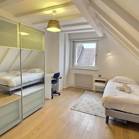Maison Spacieuse A Colmar, 5 Chambres, Terrasse, Wifi, Parking Gratuit - Fr-1-722-12 펜션