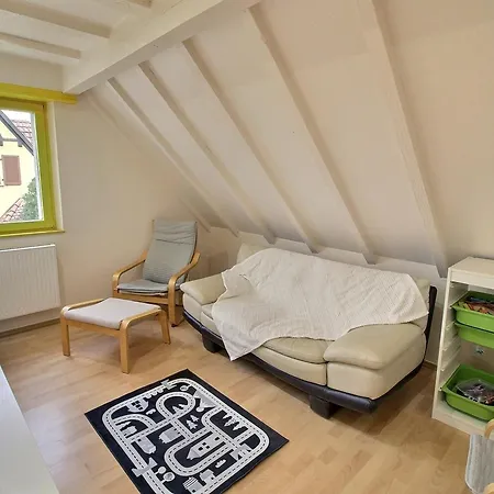 Maison Spacieuse A Colmar, 5 Chambres, Terrasse, Wifi, Parking Gratuit - Fr-1-722-12 * Colmar