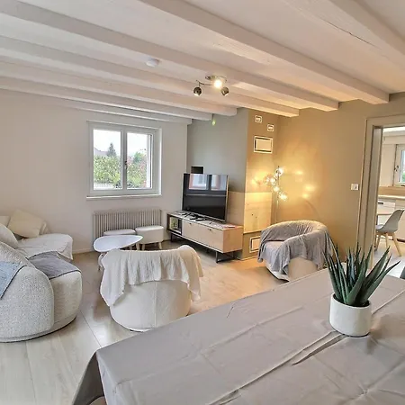 Maison Spacieuse A Colmar, 5 Chambres, Terrasse, Wifi, Parking Gratuit - Fr-1-722-12 펜션 콜마