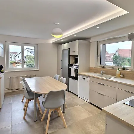 펜션 Maison Spacieuse A Colmar, 5 Chambres, Terrasse, Wifi, Parking Gratuit - Fr-1-722-12 *